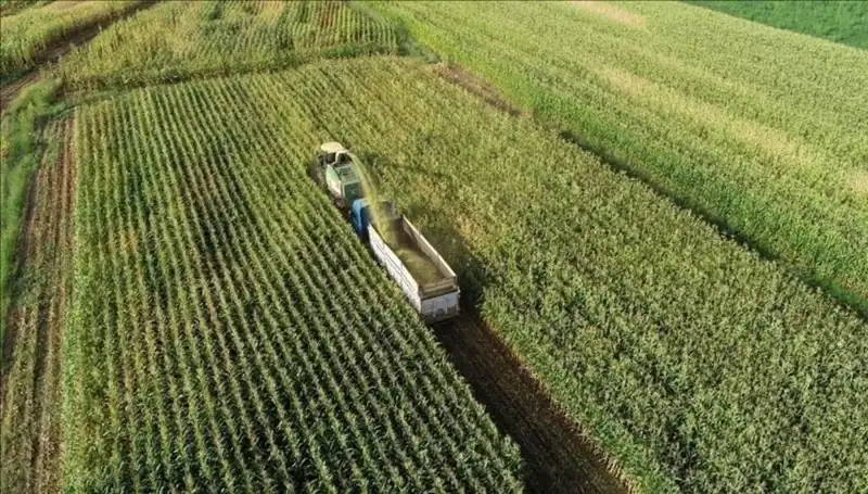 2025 Mazot ve Gübre Desteği Ödemeleri İçin Son Durum: Ne Zaman Yatacak?