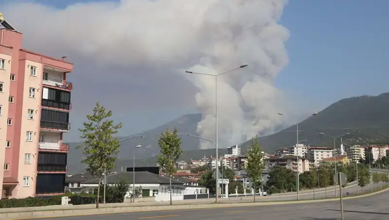 Denizli'deki Orman Yangını: Şüpheli Gözaltına Alındı, Bölgeyi Korku Sardı