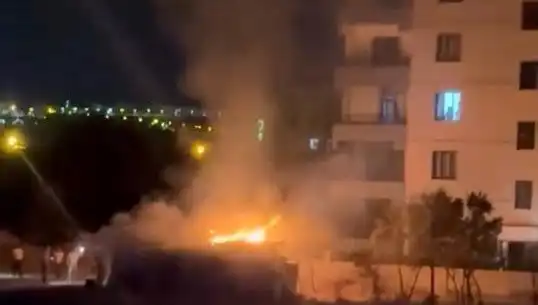 Elazığ'da Korkutan Kümes Yangını: Tavuk ve Kuşlar Telef Oldu