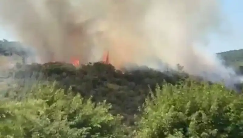 İstanbul'da Alevlerle Mücadele: Vatandaşlar Güvenlik İçin Tahliye Edildi