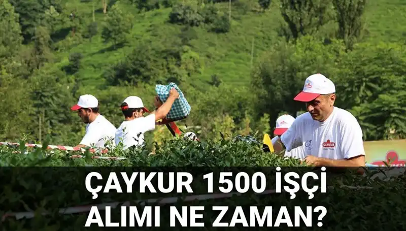 Çaykur İşçi Alımı Başvuru Tarihleri Açıklandı! Hemen Başvurun