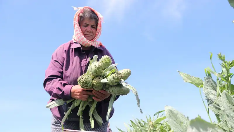 Taze Sebzelerin Fiyatları Fırladı: Tezgahta Tanesi 50 TL
