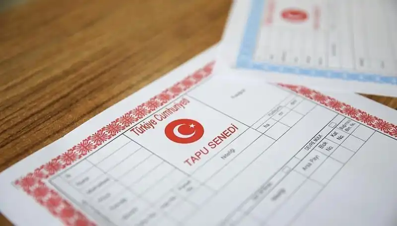 100 Milyonluk Çark Deşifre Oldu: Hisseli Tapu Dolandırıcılığı İfşa Edildi!
