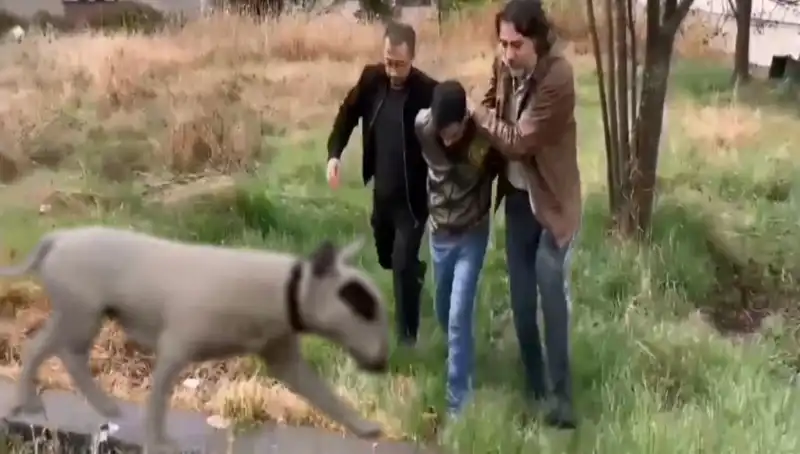 430 Bin Liralık Şampiyon Köpeği Çalan Hırsız Tutuklandı: Olayın Ayrıntıları!