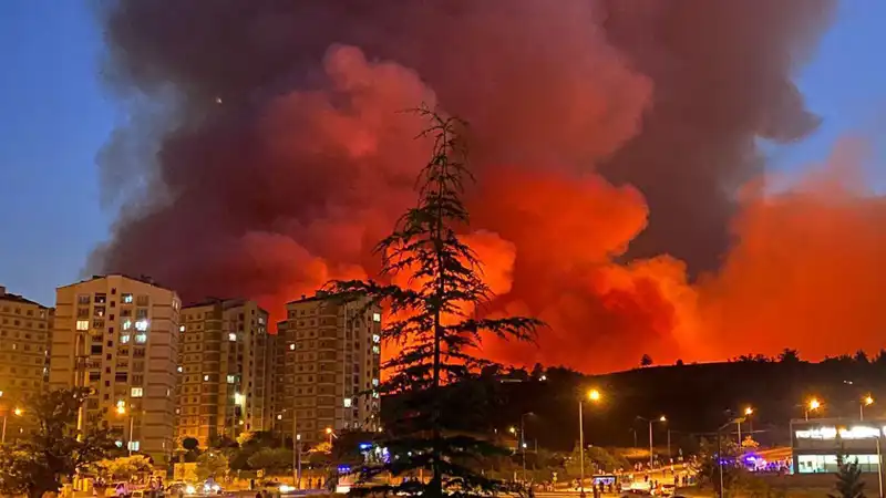 Bursa'da Peş Peşe Yangınlar: Şehirde Panik Dolu Anlar