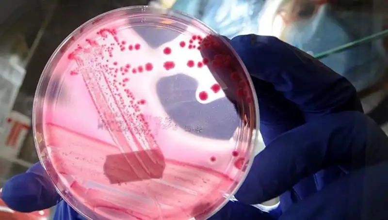 Yaşlanmayı Unutturan AP2A1 Proteini: Bilim İnsanlarının Şaşırtıcı Keşfi