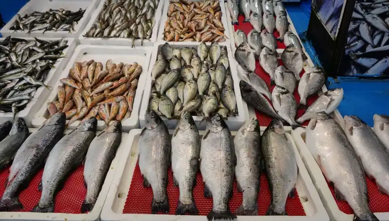 Tezgahlar Artık Onların, Yasaklar Yeni Bir Dönemi Başlattı!