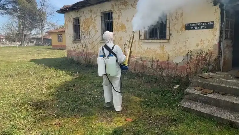 Çiftçiler Kahverengi Kokarcaya Karşı Seferberlik Başlattı: Çözüm Nedir?