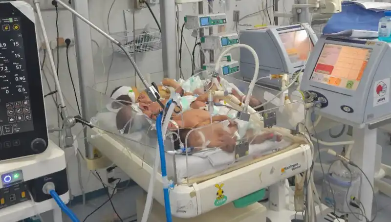 Gazzeli Doktorların Çağrısı: "Birden Fazla Bebek Aynı Kuvözde Yaşıyor!"