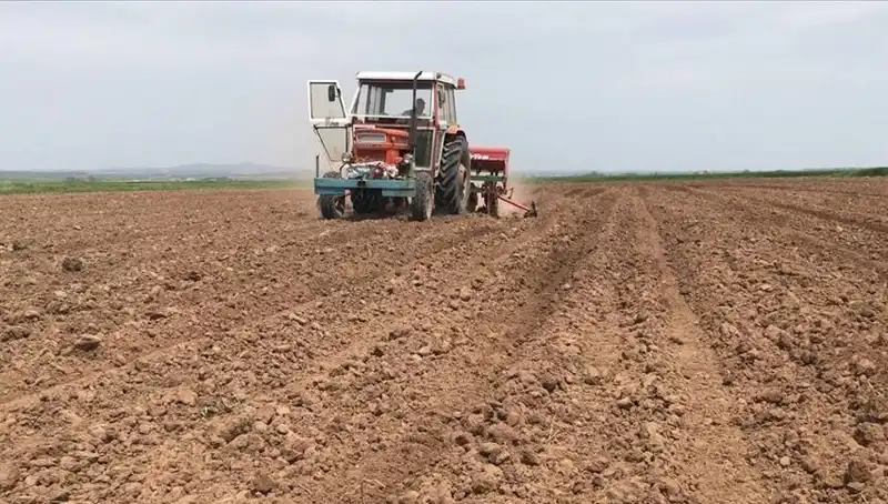 Son 35 Yılın En Kurak Mart Ayı: Türkiye'de Yağış Miktarı Alarm Veriyor!