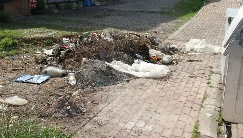 Antalya'da 10 Kedinin Ölümü: Hayvan Katliamı mı, Doğal Sebep mi?