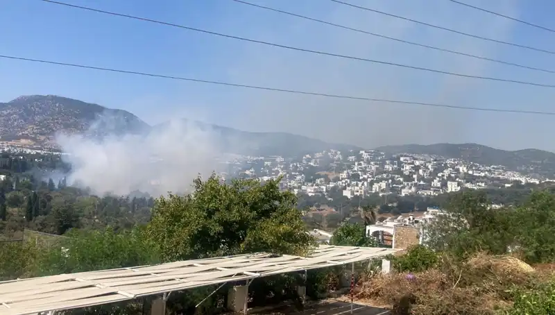 Muğla’da Günlerdir Süren Orman Yangınlarında Son Durum: Kontrol Altına Alındı