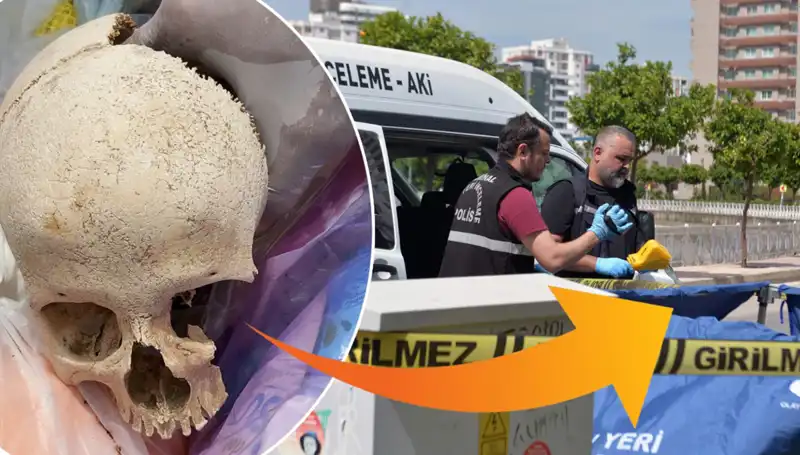 Sitenin Çöpünden Çıkan Kafatasının Sırrı Çözüldü: Uzman Doktor Gözaltında!