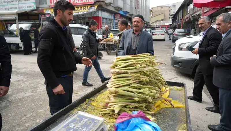 Şekerin Sağlık Faydaları: Dağlık Alanlardan Pazara Ulaşan Doğal Mucize