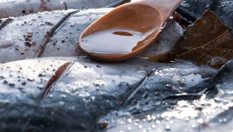 78 Yaşındaki Doktorun Gençleştiren 7 Besin Listesi Açıklandı