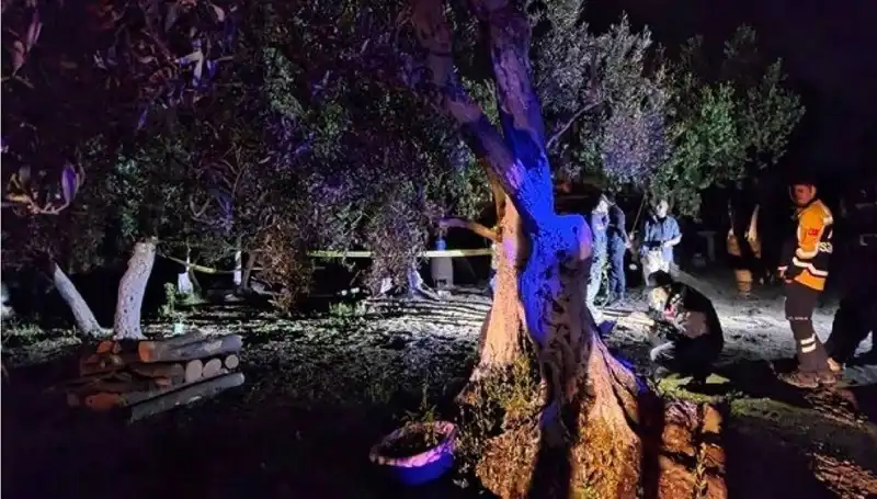 Çiftlikteki Baltalı Vahşet Olayında Şok Gelişme: Bir Kişi Tutuklandı!