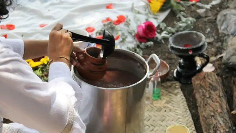 Ayahuasca Nedir? Faydaları ve Yasal Durumu Hakkında Bilmeniz Gerekenler
