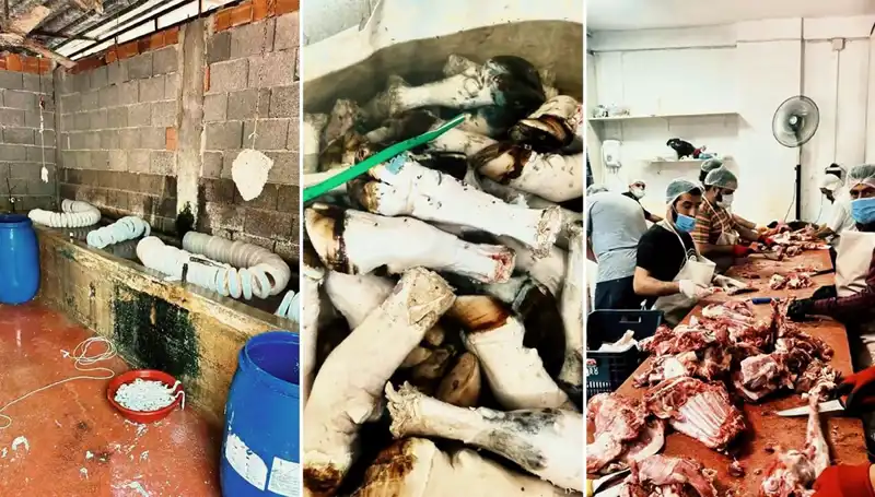 Adana'da Mide Bulandıran Paça Operasyonu: Yüzlerce Kilo Ele Geçirildi