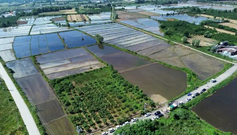 Osmanlı Sarayı'nın Lezzetleri Artık Topraktan Sofralarımıza Geliyor