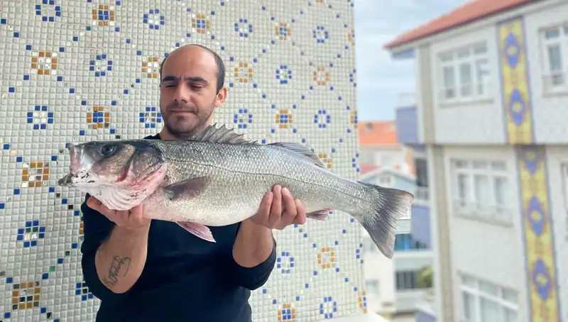 7,5 Kiloluk Dev Levrek Avı: Balıkçılar İçin Unutulmaz Bir Deneyim