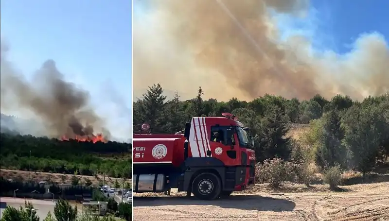 Gebze'de Orman Yangını: Doğa Mührünü Kaybetmeye Mı Başladı?