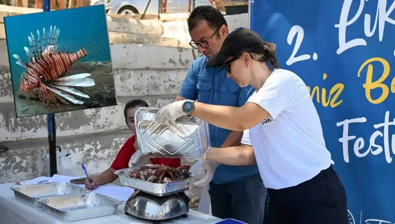 Antalya'da İstilacı Aslan Balığı Avlama Yarışması: Rekor Katılım ve Büyük Ödüller