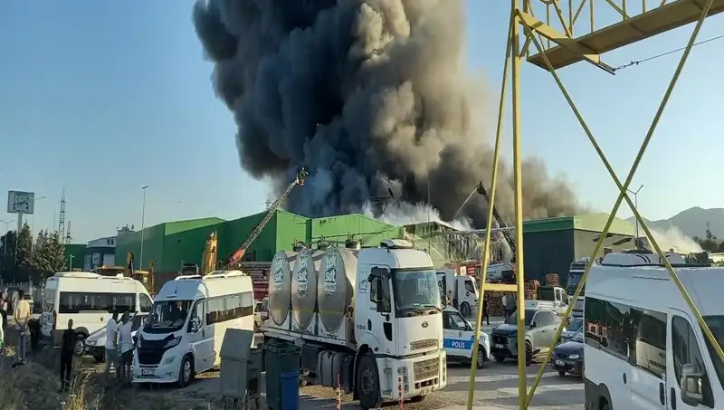 Gönen'deki Fabrika Yangınında Yaşananlar ve İşçilerin Kimlikleri Hakkında Son Gelişmeler
