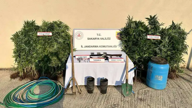 Sakarya'da Uyuşturucu Operasyonunda 1 Şahıs Tutuklandı