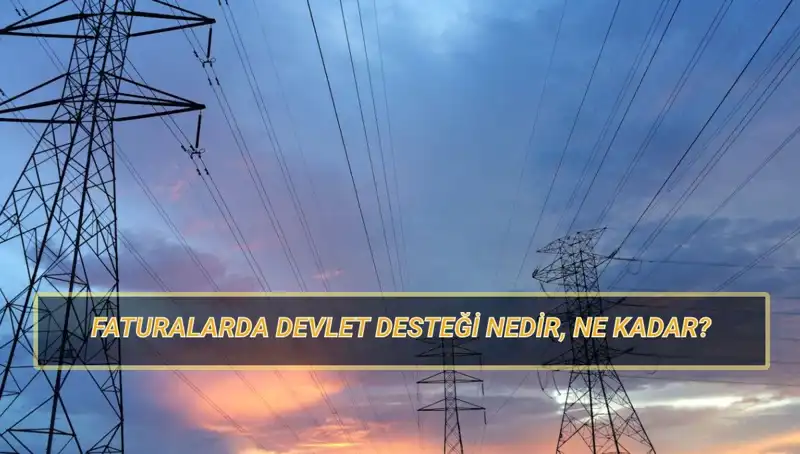 2025'te Devlet Destekli Fatura Ödemeleri: Kim, Ne Kadar Yararlanacak?