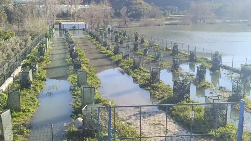 Irmak Taşması Sonucu Otoyol Şantiyesinde Felaket: Yüzlerce Araç Suya Gömüldü